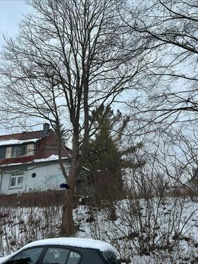 Foto - Doppelhaushälfte, 1920 er Villa Stil, 2.90 Decken, 545m2