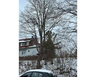 Doppelhaushälfte, 1920 er Villa Stil, 2.90 Decken, 545m2 - Göttingen Grone