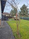 Foto - 4 Zimmer Einfamilienhaus in Hundsangen