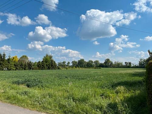 Foto - Grundstück in Lützen zur Miete
