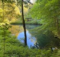 Beteiligung an Nutzungsgemeinschaft: Wald mit Quellwasser-Teich - Eschenburg
