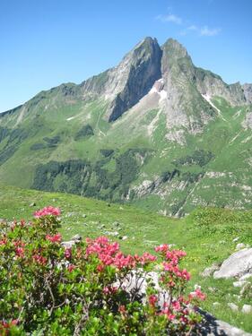 Foto - 4-Zimmer-Wohnung in zentraler Lage von Oberstdorf