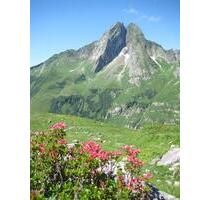 4-Zimmer-Wohnung in zentraler Lage von Oberstdorf