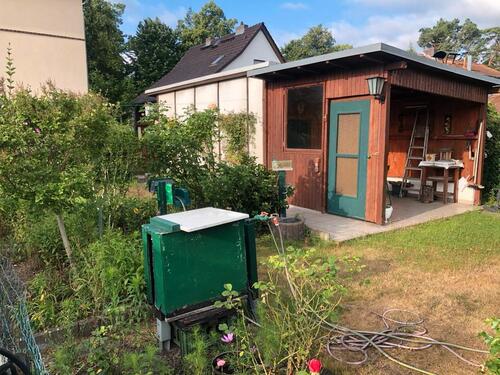 Foto - 3 Zimmer Dachgeschoßwohnung zur Miete in Zeuthen