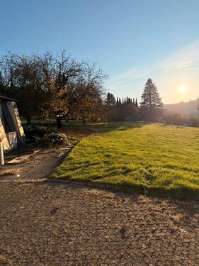 Foto - 8 Zimmer Einfamilienhaus in Sankt Ingbert
