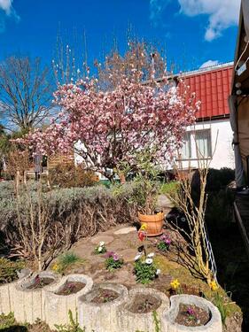 Foto - Einfamilienhaus zum Kaufen in Berlin