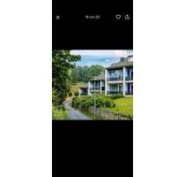 gepflegte Ferienwohnung - 37.500,00&nbsp;EUR Kaufpreis, ca.&nbsp; 42,00&nbsp;m&sup2; in Braunlage (PLZ: 37444) Sankt Andreasberg