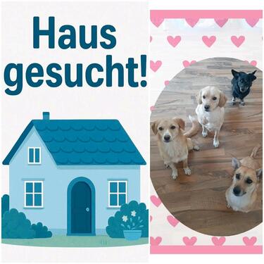 Foto - Haus in 33428 Harsewinkel +-20km Umkreis
