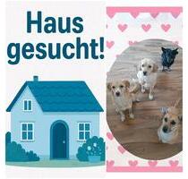 Haus in 33428 Harsewinkel +-20km Umkreis
