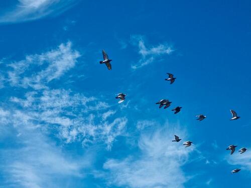 Foto - Wohnung in landshut für 3-6 Monate zum vermieten