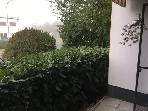 Foto - 2 Zimmer Erdgeschoßwohnung in Pohlheim