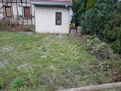 Foto - andere in Bucha