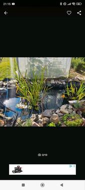 Foto - Kleingarten - 400,00&nbsp;EUR Kaltmiete, ca.&nbsp; 0,00&nbsp;m&sup2;