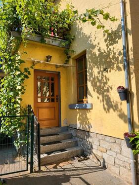 Foto - andere in Wallertheim