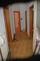 Foto - 4 Zimmer Etagenwohnung zur Miete in Neumagen-Dhron