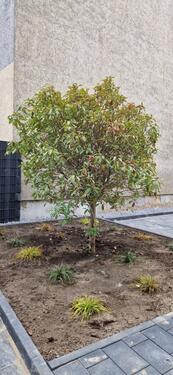 Foto - 'Wohnen in der alten Fabrik': Komplett sanierte Wohnung mit Fußbodenheizung, Aufzug, Kellerraum und Echtholzparket + Einbauküche