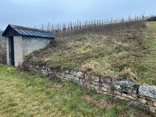 Foto - Garten Wiese mit kleiner Hütte - 30,00&nbsp;EUR Kaltmiete, ca.&nbsp; 0,00&nbsp;m&sup2;