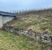 Garten Wiese mit kleiner Hütte - 30,00&nbsp;EUR Kaltmiete, ca.&nbsp; 0,00&nbsp;m&sup2; in Walheim (PLZ: 74399)