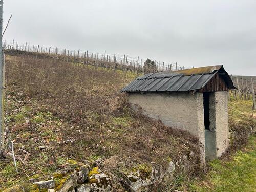 Foto - Grundst&uuml;ck zur Miete in Walheim