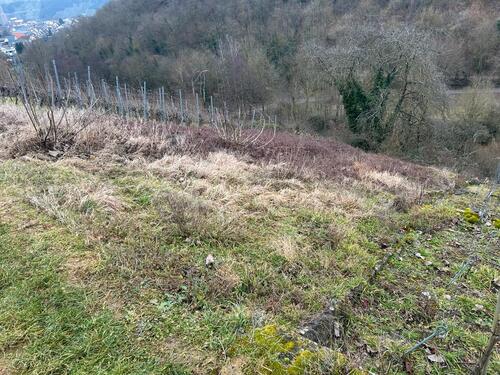 Foto - Grundst&uuml;ck in Walheim