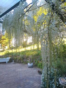 Foto - Einfamilienhaus mit möglicher Einliegerwohnung