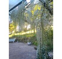 Einfamilienhaus mit möglicher Einliegerwohnung - Freudenberg