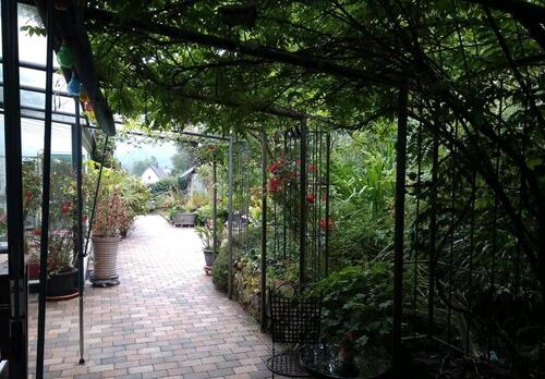 Foto - Einfamilienhaus zum Kaufen in Freudenberg