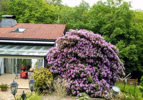 Foto - Einfamilienhaus in Freudenberg