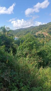 Foto - Grundst&uuml;ck zur Miete in Stuttgart