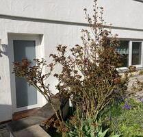 ELW-Wohnung (50 m2, möbliert, Terrasse) - nur für Studierende! - Gomaringen