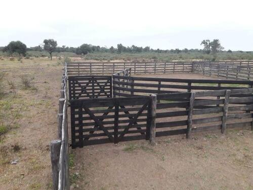 Foto - Exzellente Investitionsmöglichkeit im paraguayischen Chaco