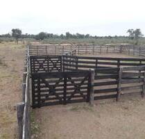 Exzellente Investitionsmöglichkeit im paraguayischen Chaco - Germering