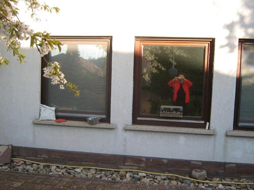 Foto - 