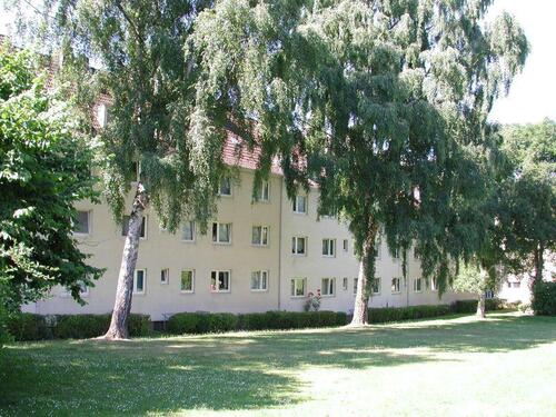 Foto - Modernisierte Wohnung - 399,00&nbsp;EUR Kaltmiete, ca.&nbsp; 39,09&nbsp;m&sup2;