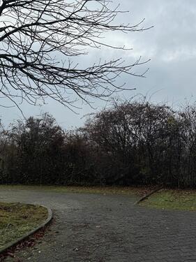 Foto - Außenparkplatz zu vermieten – 400m von Konstanz-Fürstenberg