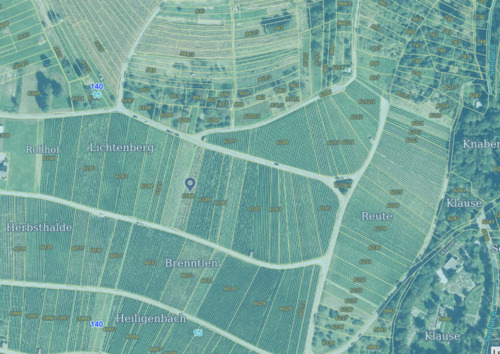 Foto - Weinberg 11,04 ar zu verpachten