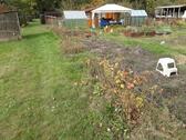 Foto - Kleingarten zur Pacht - 2.000,00 EUR Kaltmiete, ca.  0,00 m²
