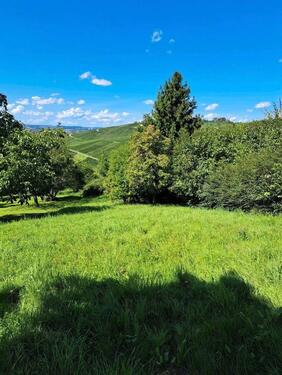 Foto - Idyllisches Freizeitgrundstück zur Pacht