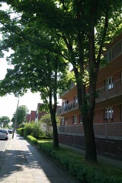 Foto - 2 Zimmer Etagenwohnung zur Miete in Dessau-Roßlau