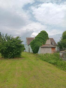Foto - 6 Zimmer Einfamilienhaus in Mücheln (Geiseltal)