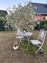 Foto - 4 Zimmer Einfamilienhaus in Lüdersdorf