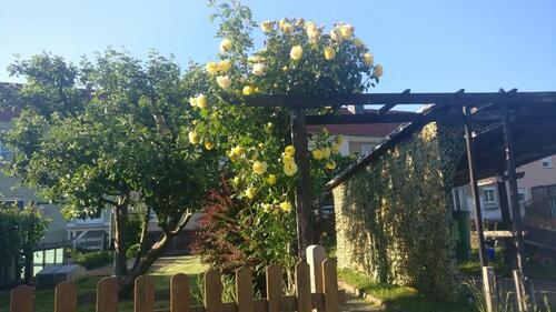 Foto - andere in Löbau zur Miete