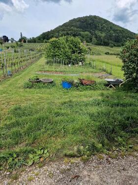 Foto - Grundst&uuml;ck zur Miete in Frickenhausen