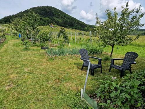 Foto - Grundst&uuml;ck in Frickenhausen zur Miete