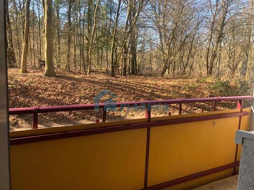 Foto - Etagenwohnung in Schwerin zur Miete
