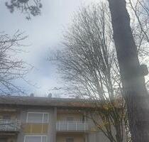 Heller drei Zimmer Wohnung - 1.550,00&nbsp;EUR Kaltmiete, ca.&nbsp; 65,00&nbsp;m&sup2; in Frankfurt am Main (PLZ: 65929) Unterliederbach