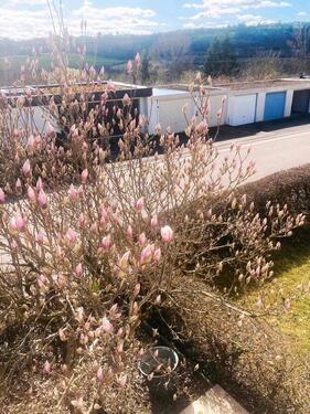 Foto - 2.5 Zimmer Etagenwohnung zur Miete in Herrenberg