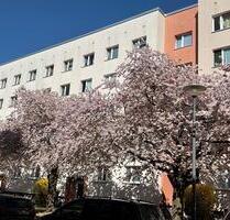 Jetzt besichtigen: charmante 3-Zimmer-Wohnung - Dresden Blasewitz Jetzt besichtigen: charmante 3-Zimmer-Wohnung - Dresden Blasewitz