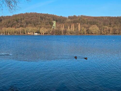 Foto - Wohnen am Baldeneysee - 692,00&nbsp;EUR Kaltmiete, ca.&nbsp; 55,00&nbsp;m&sup2;