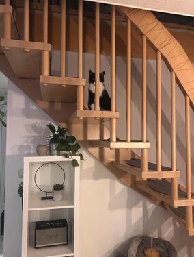 Foto - 3 Zimmer Etagenwohnung in Torgau